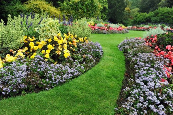 Dementia Gardens | How They Help Alzheimer's & Dementia Patients