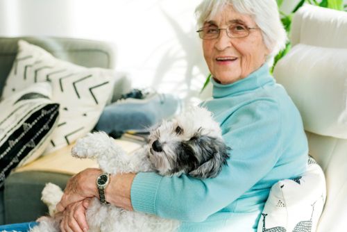 dog with senior citizen